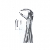 Extarcting Forceps 